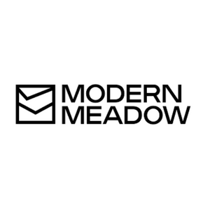 MODERN MEADOW